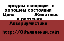 продам аквариум  в хорошем состоянии  › Цена ­ 1 500 -  Животные и растения » Аквариумистика   